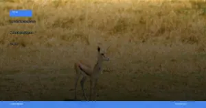 Taman Nasional Serengeti | Turtlebin